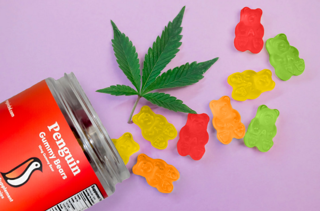 A Comprehensive Guide To The Cannabis Plant