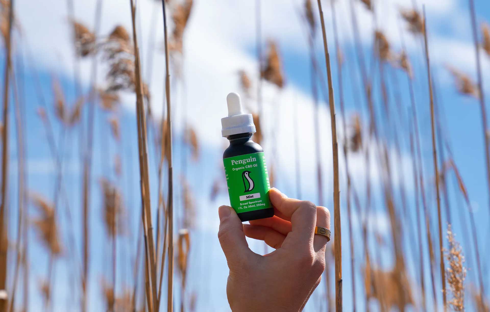How Terpenes Enhance Your CBD Experience