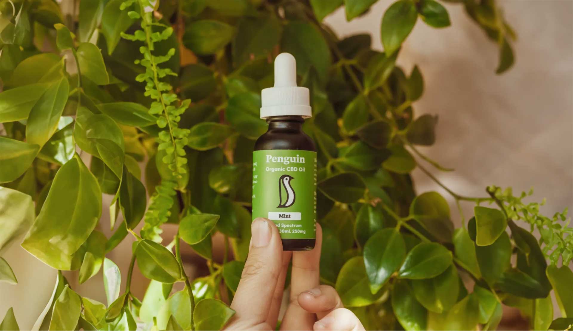 The Green Wave: How CBD Oil is Changing Lives