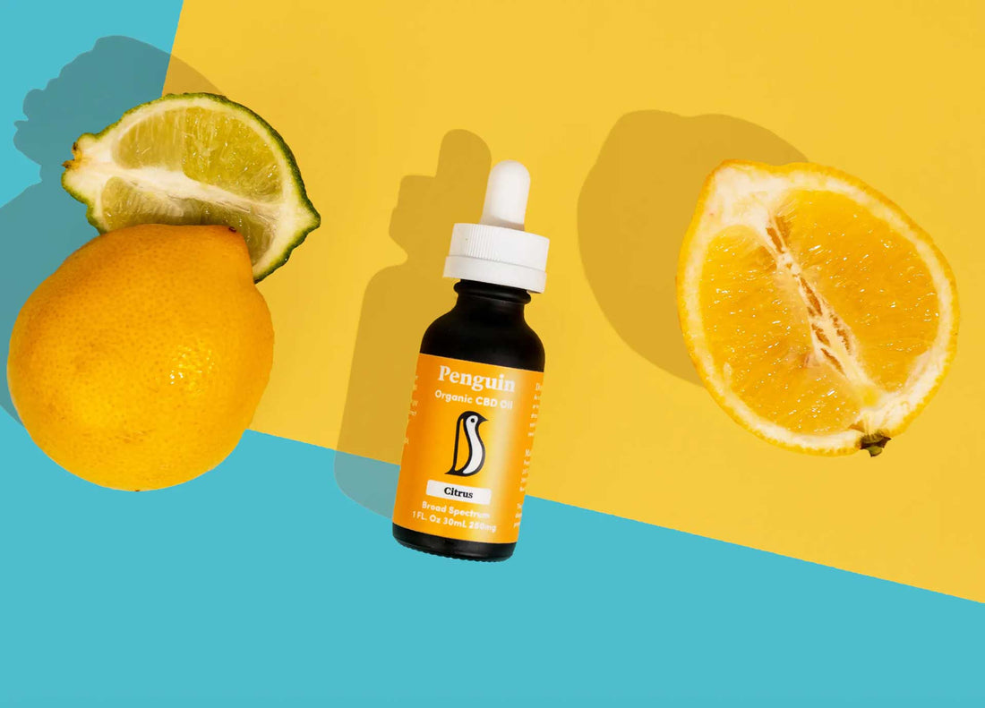 CBD Explained: Benefits, Uses & What It Does