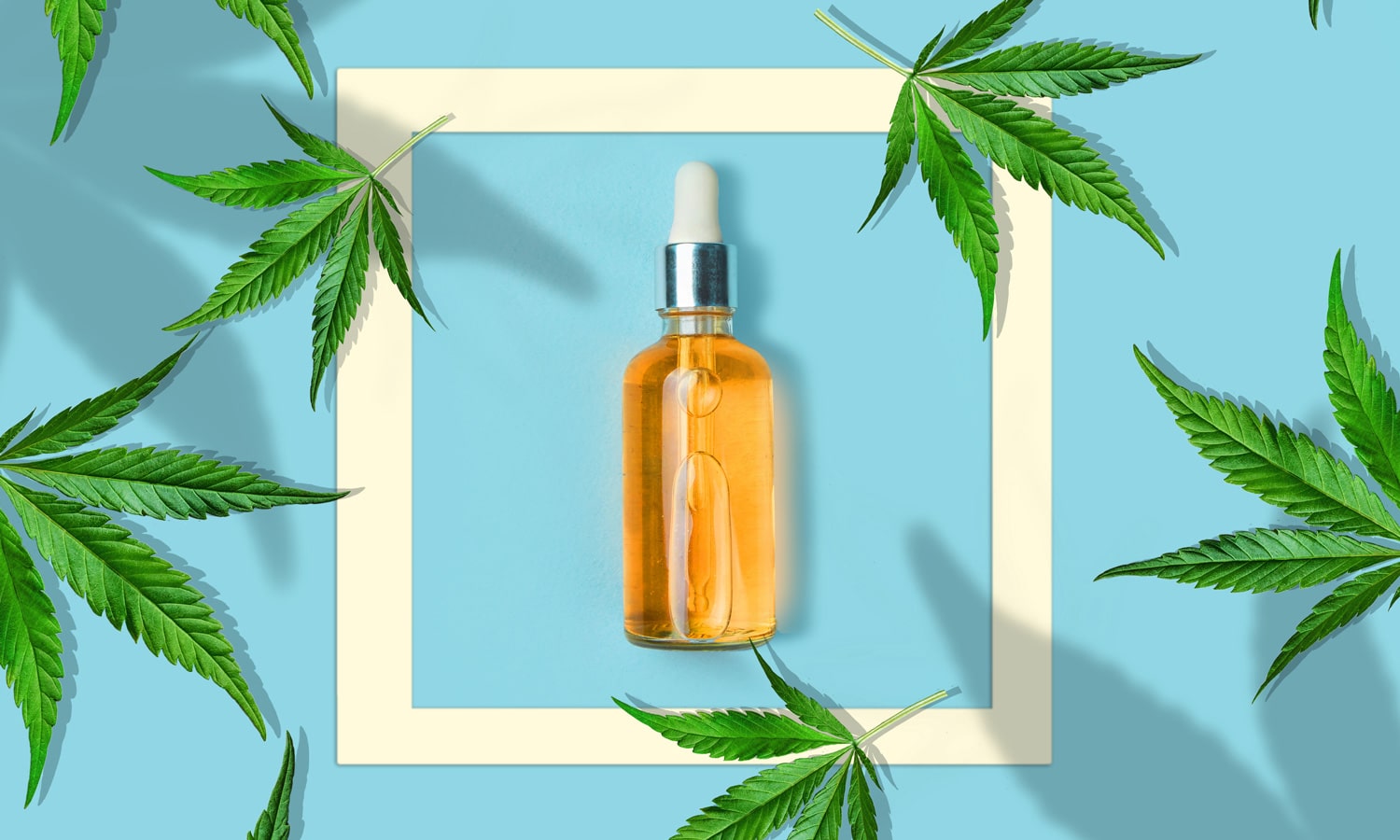 The Difference Between CBD and THC