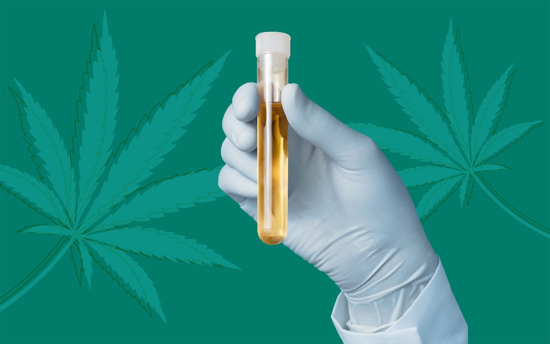Understanding CBD & Drug Tests