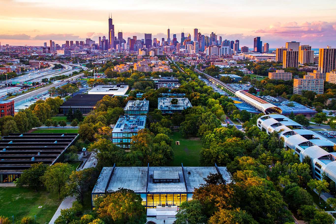 CBD Oil in Illinois: Is It Legal?
