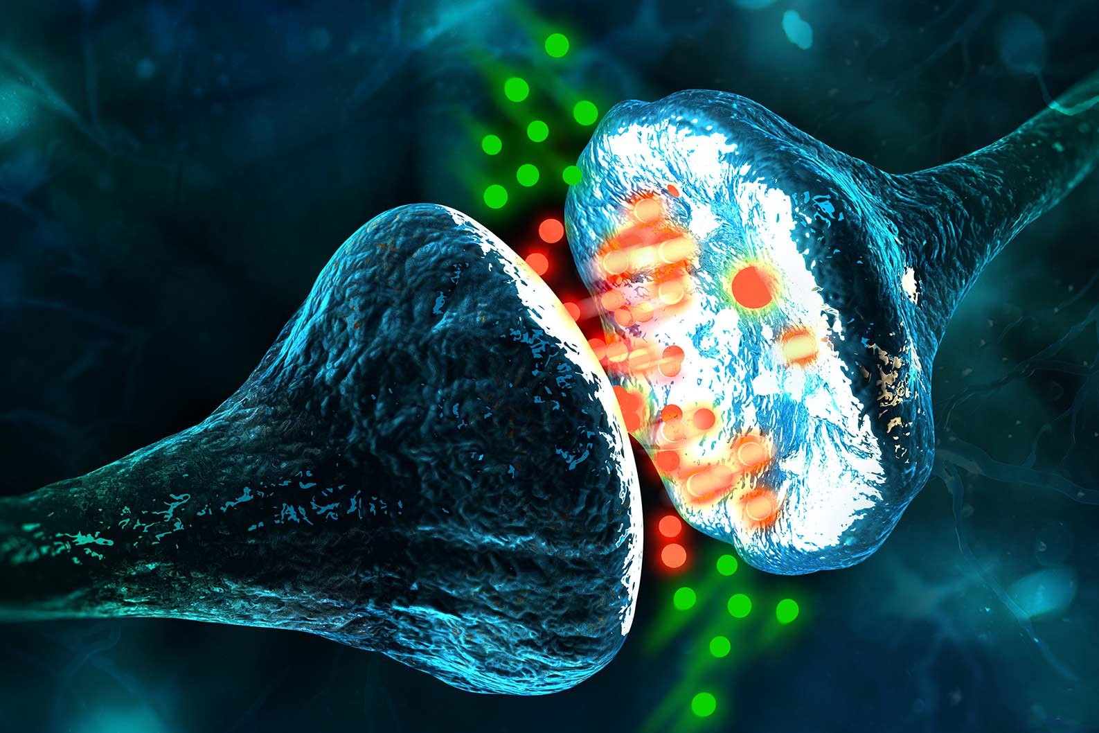 How Does CBD Work?