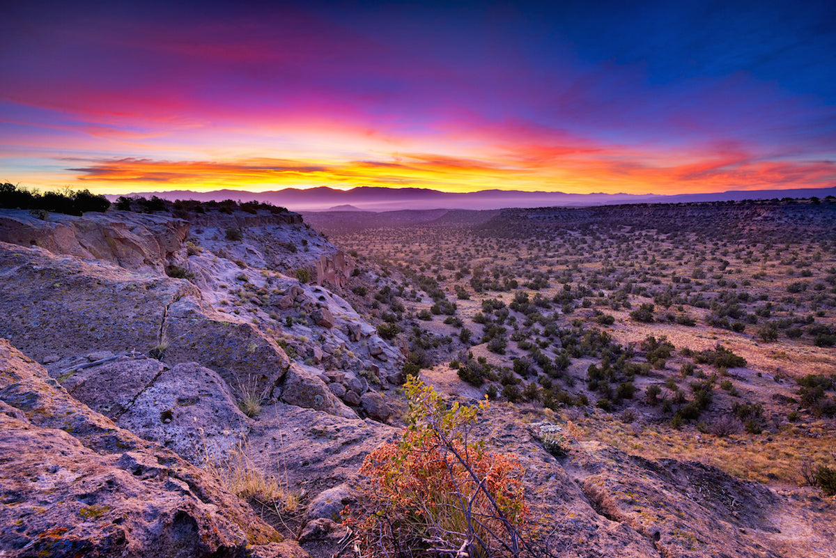 CBD Oil in New Mexico: Is It Legal and Where Can You Buy It?