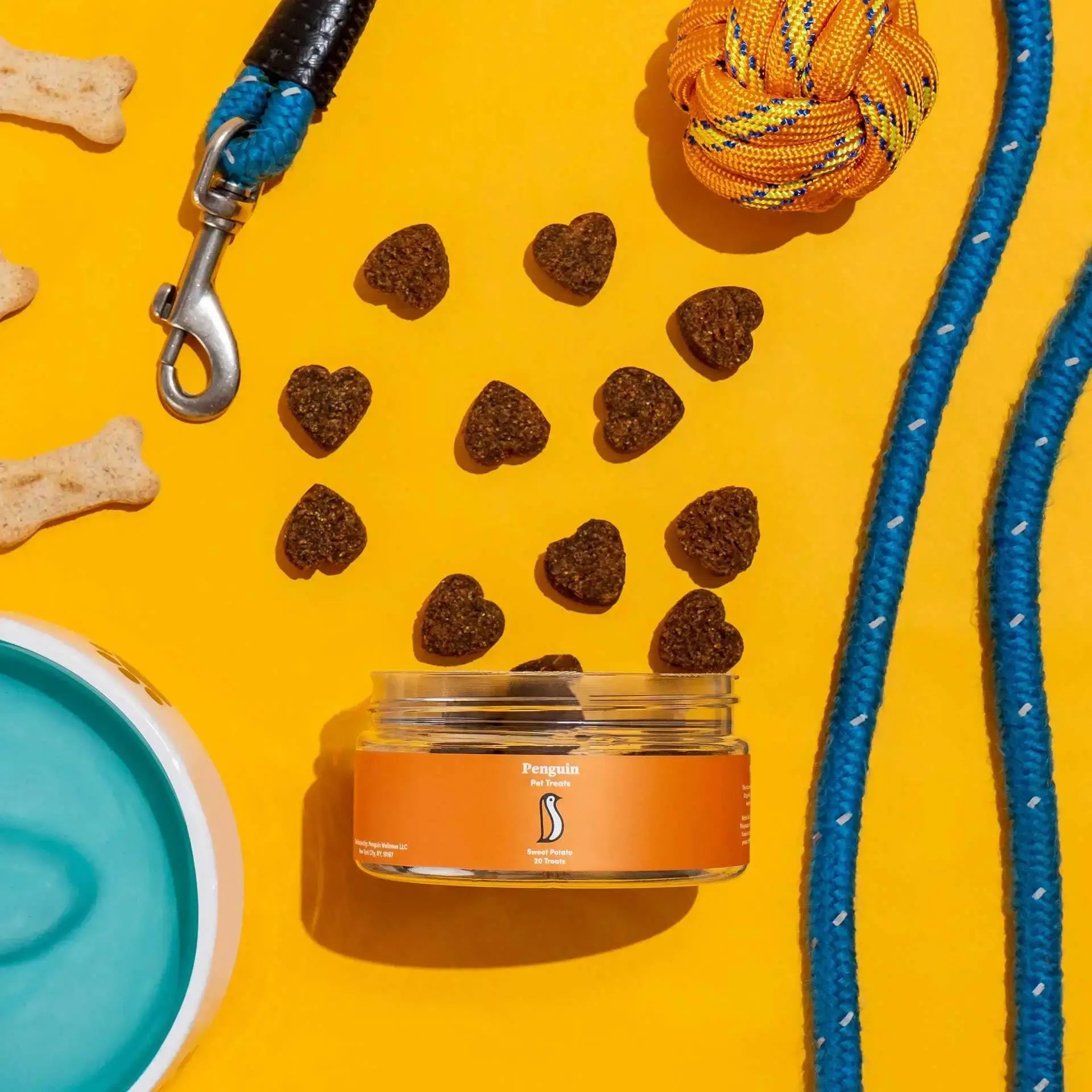 Why Should You Give Your Dog Supplements from Penguin Wellness