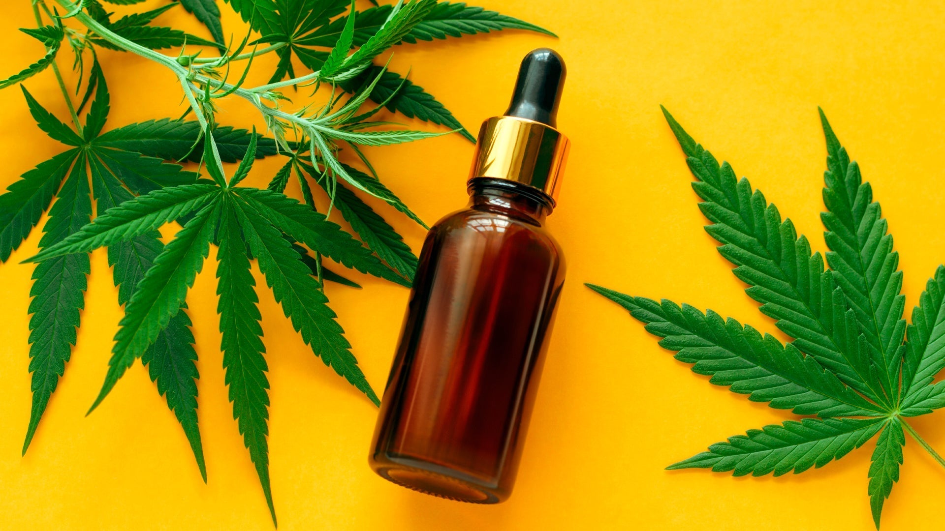 What Type of CBD Is Right For Me?
