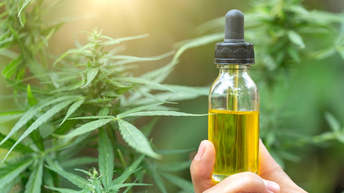 The Champion of CBD: What Makes the Best CBD Oil?