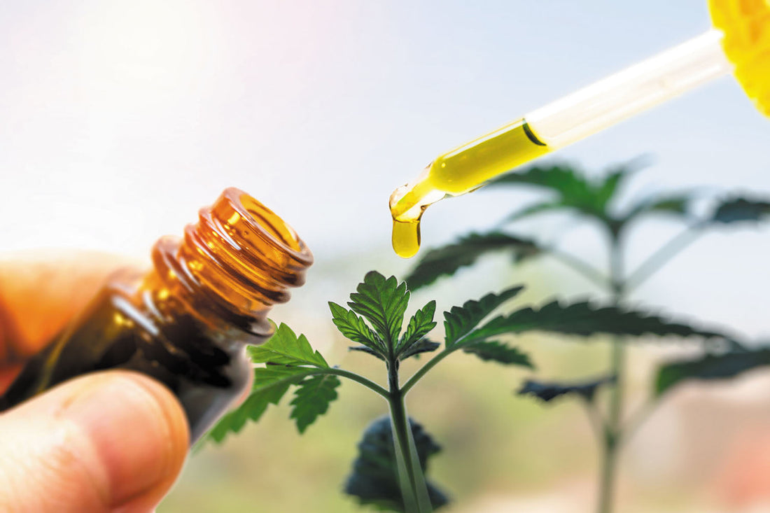 Fact vs. Fiction: 10 Common Myths About CBD