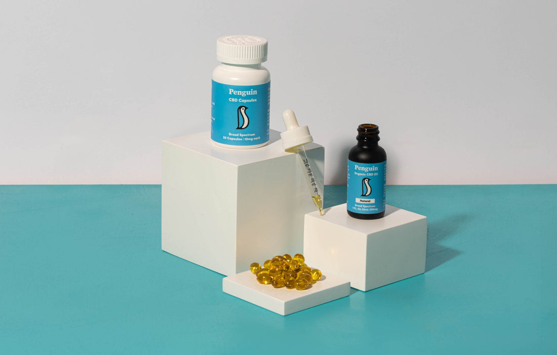 CBD Oil vs. CBD Capsules: What's the Better Option?