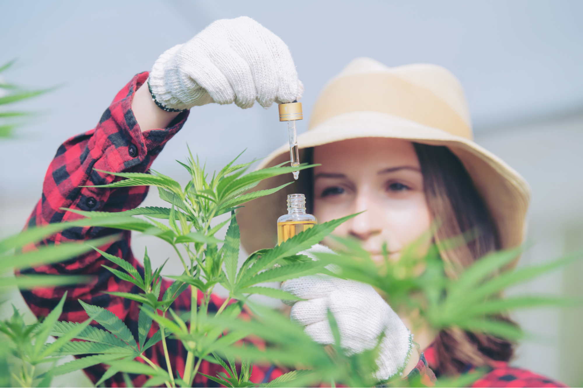 Welcome to the CBD Revolution