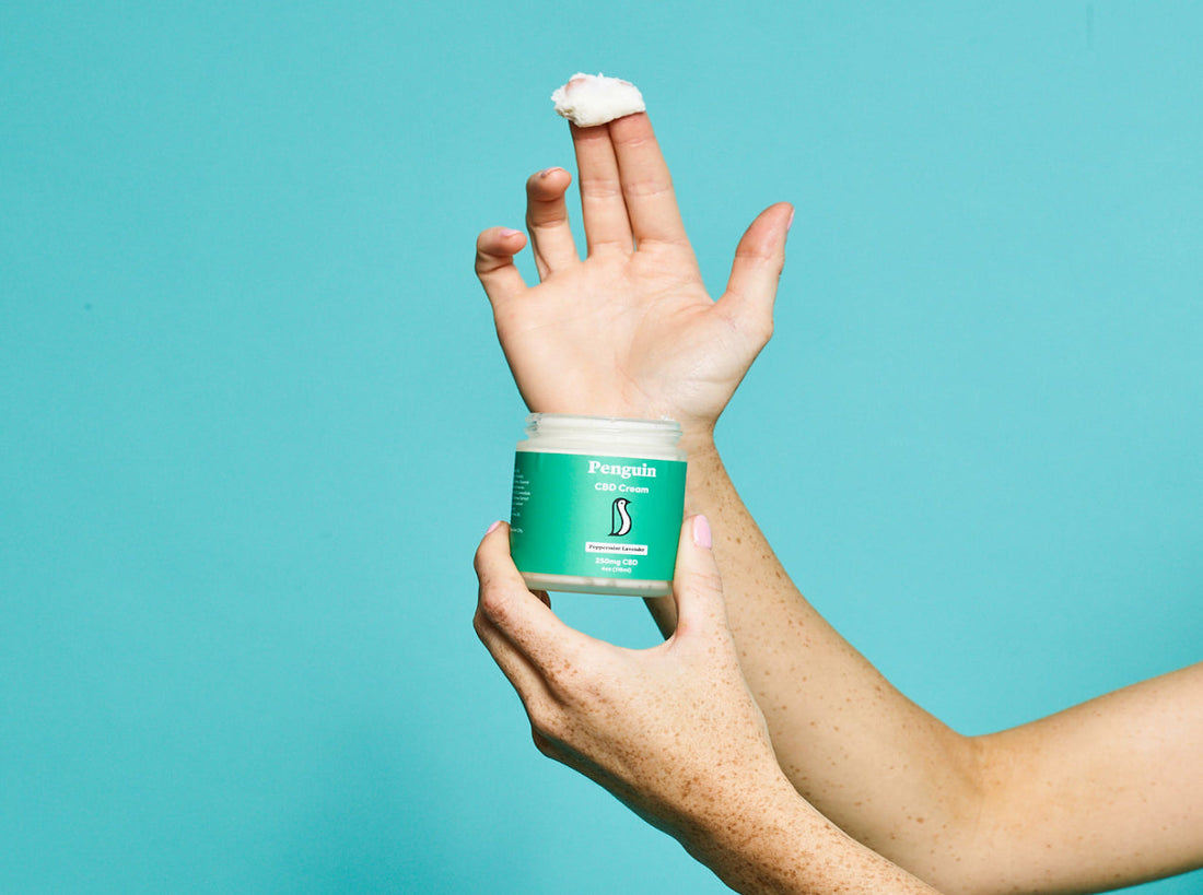 Penguin Wellness CBD cream jar — topical CBD cream for targeted pain and muscle relief