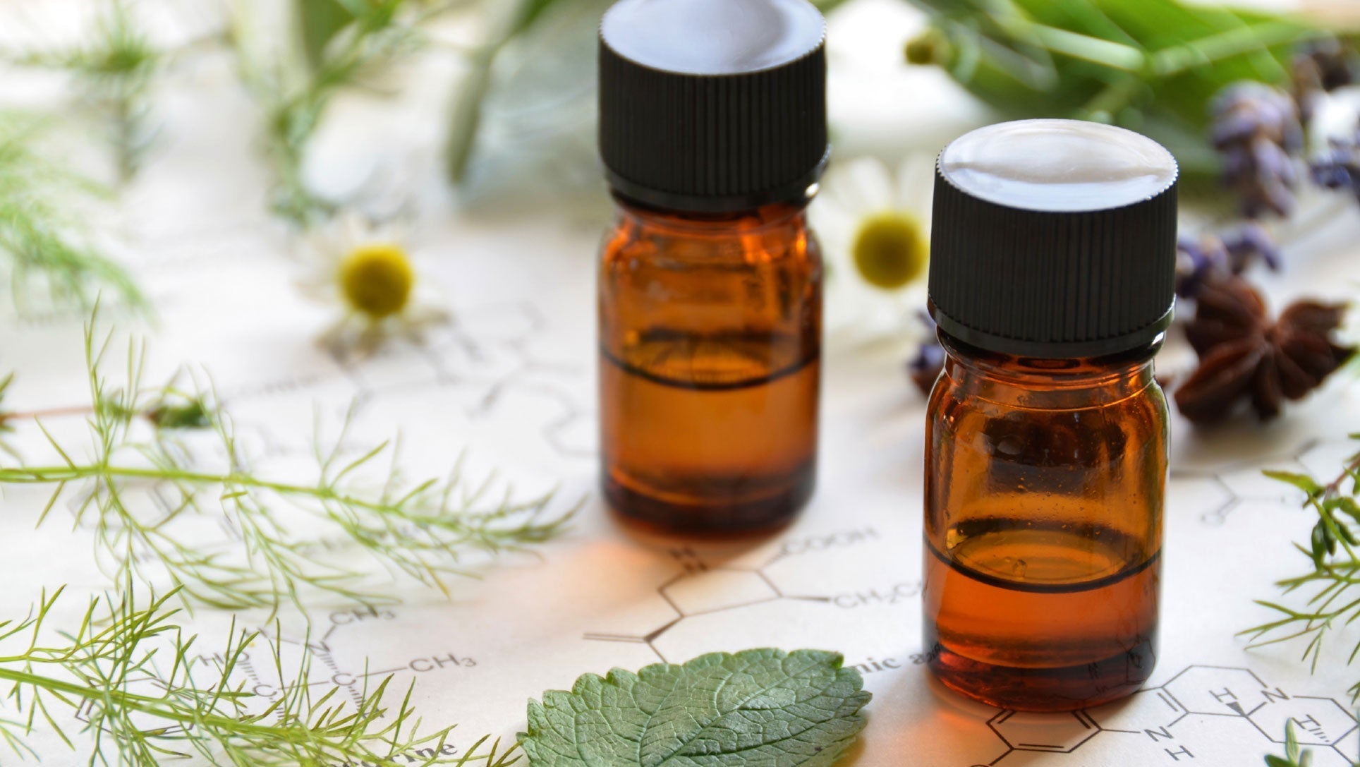 CBD and Terpenes: How They Go Hand in Hand