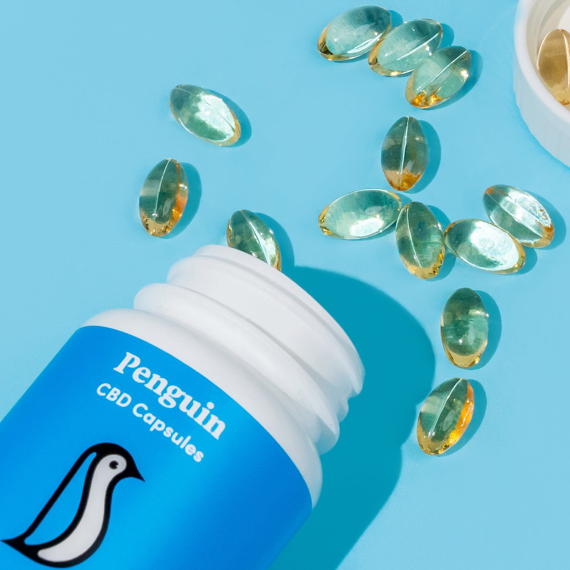 Broad-Spectrum CBD Capsules – 25mg per Capsule | 30-Count
