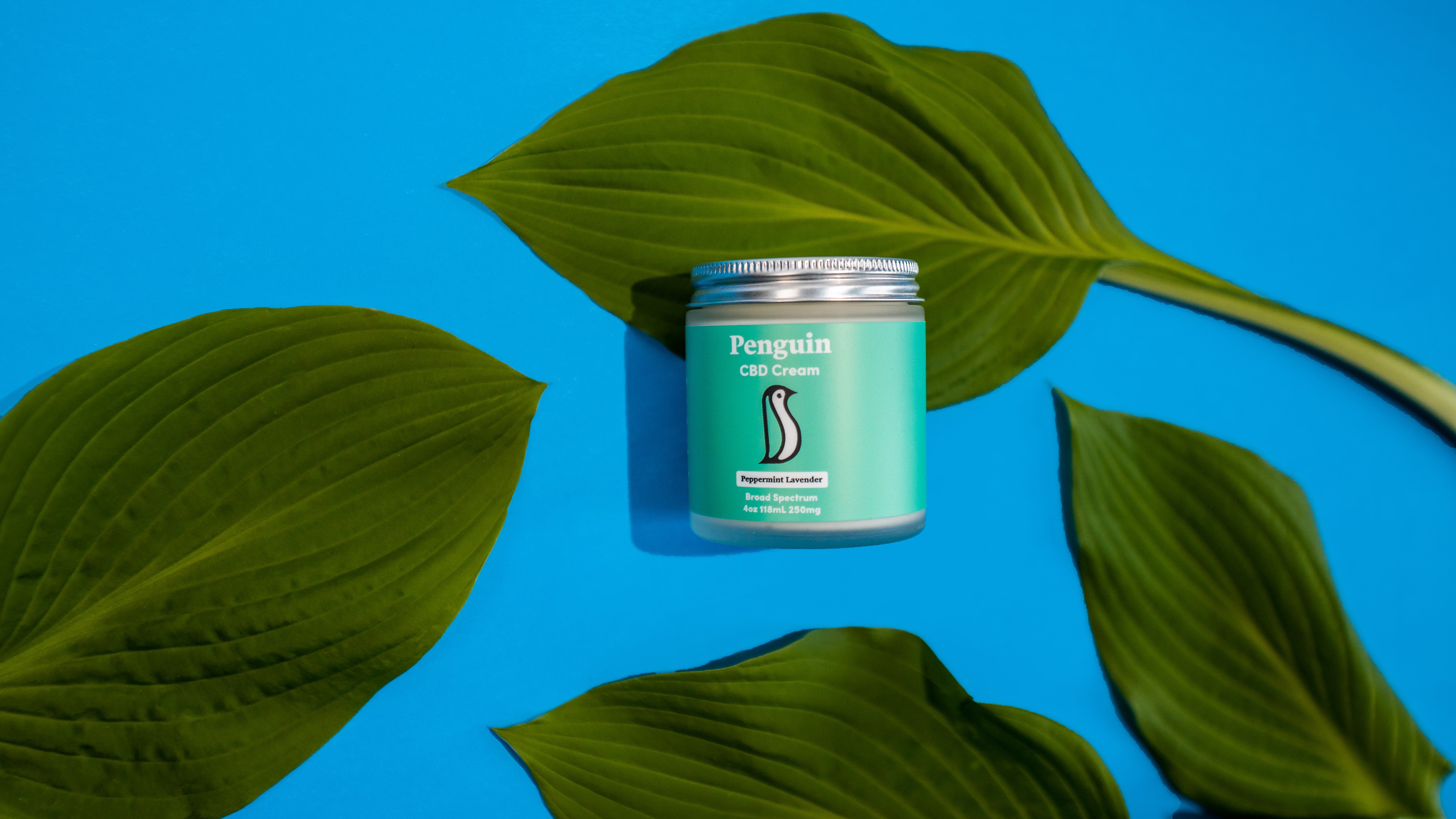 CBD Cream | Top Rated | Buy CBD Topical - Penguin CBD – Penguin