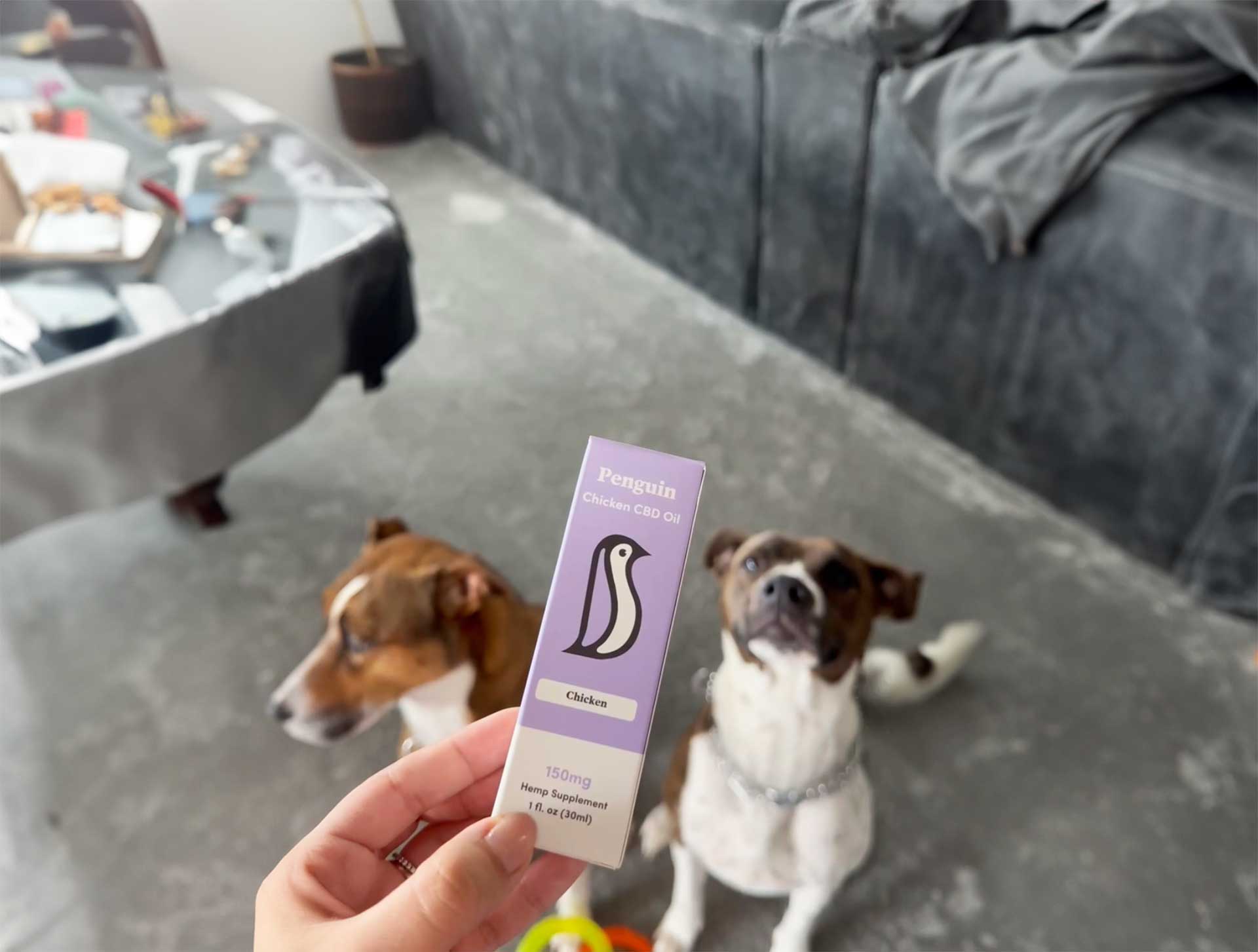 Penguin CBD Dog Oil – Broad-Spectrum | 150mg / 300mg